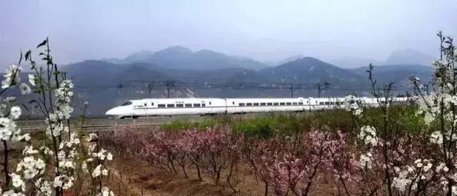 上海鐵路客運迎來新發展 專訪郭竹學局長解讀重大信息